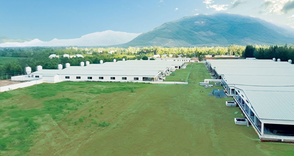Trang trại điện mặt trời Bình Định